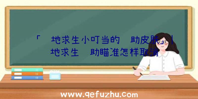 「绝地求生小叮当的辅助皮肤」|绝地求生辅助瞄准怎样取消